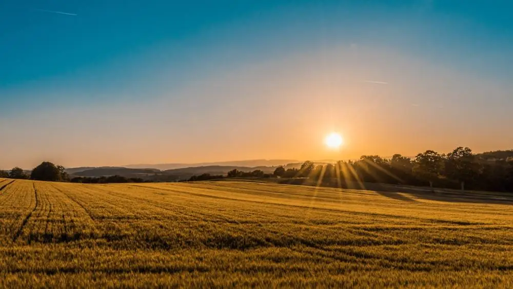 Agriculture